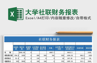 2025年大学社联财务报表