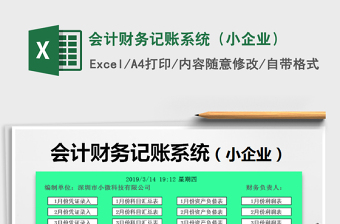 会计财务记账系统（小企业）