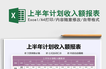 2025年上半年计划收入额报表