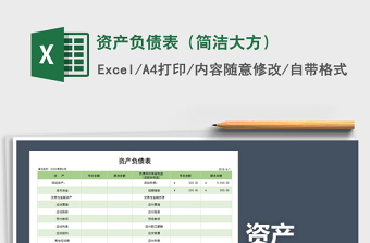 2025年资产负债表（简洁大方）