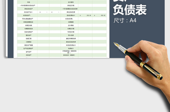 2025年资产负债表（简洁大方）