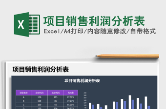 2025年项目销售利润分析表