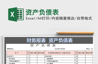 资产负债表损益表