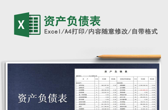 2025年资产负债表