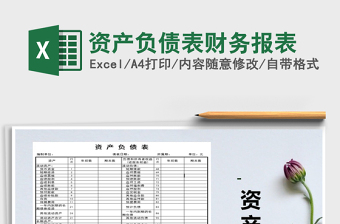 2025年资产负债表财务报表