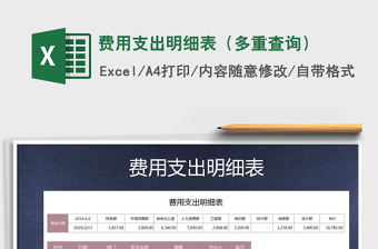 2025年费用支出明细表（多重查询）