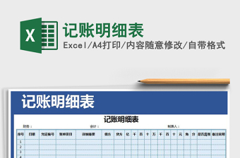 2025年记账明细表