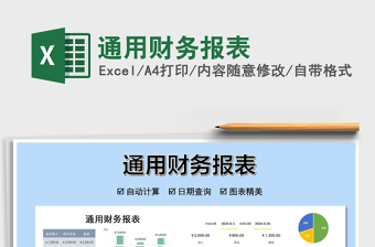 2024年通用财务报表