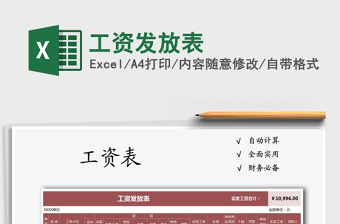 2025年工资发放表