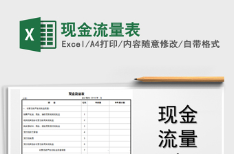 2025年现金流量表