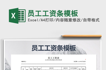 2025年员工工资条模板