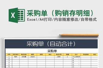 2025年采购单（购销存明细）