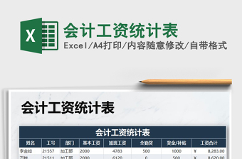 2025年会计工资统计表