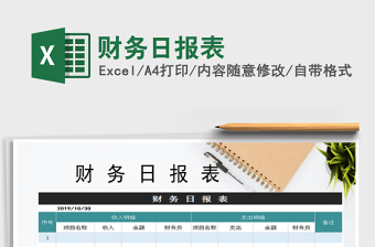 2025年财务日报表