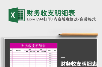 2025年财务收支明细表