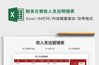 2025年财务日常收入支出明细表