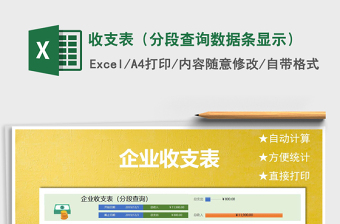 2025年收支表（分段查询数据条显示）