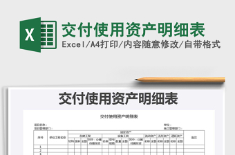 2025年交付使用资产明细表