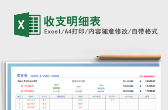 2025年收支明细表