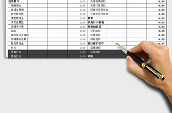 2025年资金收支表