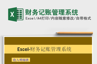 2025年财务记账管理系统