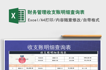 2025年财务管理收支账明细查询表