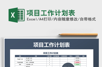 2025年项目工作计划表