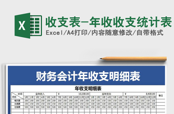 2025年收支表-年收收支统计表