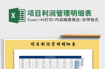 2025年项目利润管理明细表