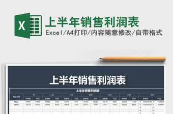 2025年上半年销售利润表