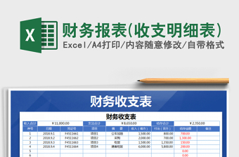 2025年财务报表(收支明细表)