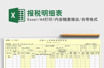 2025年报税明细表