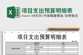 2025年项目支出预算明细表