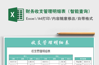 2025年财务收支管理明细表（智能查询）