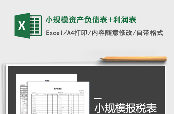 2025年小规模资产负债表+利润表