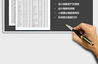 2025年小规模资产负债表+利润表