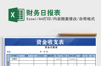 2025年财务日报表