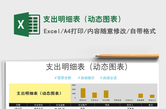 2025年支出明细表（动态图表）