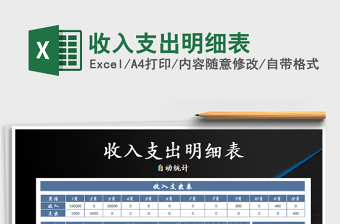 2025年收入支出明细表