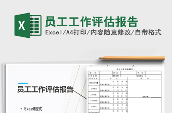 2025年员工工作评估报告