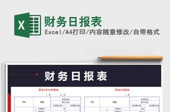 2025年财务日报表