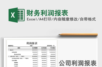 2025年财务利润报表