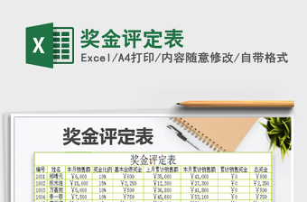 2025年奖金评定表