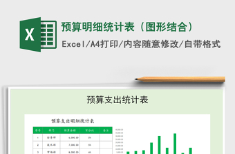 2025年预算明细统计表（图形结合）