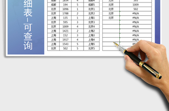 2025年销售明细表-可查询