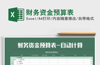 2025年财务资金预算表