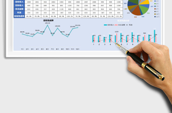 2025年财务收支利润总报表