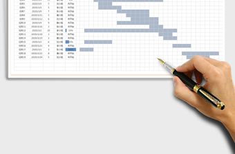 2025年月度项目追踪（甘特图）