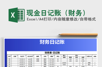 2025年现金日记账（财务）