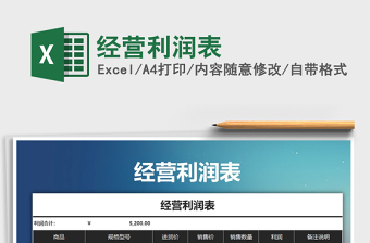 2025年经营利润表